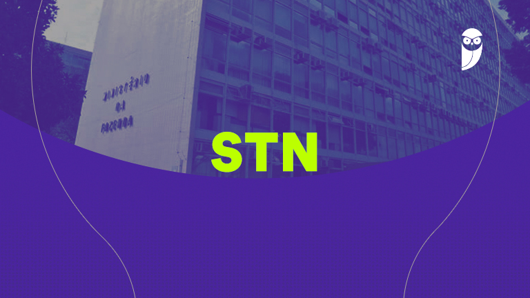 Teorias da responsabilidade do Estado: resumo para a STN